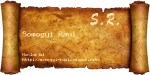 Somogyi Raul névjegykártya